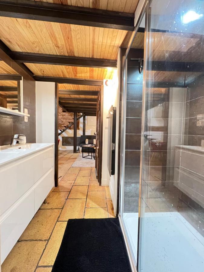 Apartamento La Romance - Loft Ancien Au Coeur De Toulouse